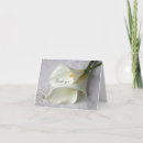 Search for white calla lily cards Beautiful