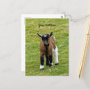 Search for nature lover birthday cards Cute