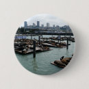Search for lions badges Sea lion