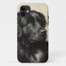 Search for newfoundland iphone cases Pet