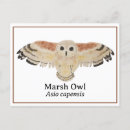 Search for birdwatcher postcards Birds