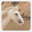 Search for wild horse stickers Equine