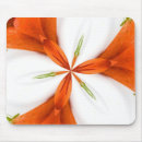 Search for kaleidoscoped mousepads Orange