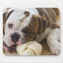 Search for animal teeth mousepads Vertical