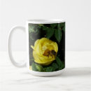 Search for pollinators mugs Bees