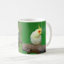 Search for cockatiel coffee mugs Lovebird
