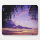 Search for greg mousepads Palm tree