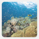 Search for pinnacle stickers Nature