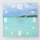 Search for caribbean clocks Seascape