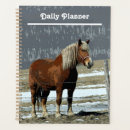 Search for paddock Farm