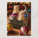 Search for kitten christmas invitations Animal