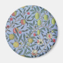 Search for fruit magnets William morris