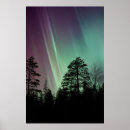 Search for borealis posters Silhouette