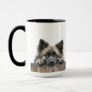 Search for keeshond mugs Cute