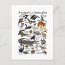Search for wildlife postcards Australia