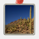 Search for tucson christmas tree decorations Desert