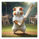 Search for cricket posters Player