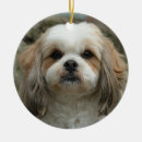 Search for shih tzu puppy christmas tree decorations Animal
