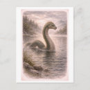 Search for the myth postcards Vintage