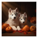 Search for siberian husky puppy posters Pet