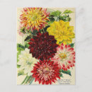 Search for seed postcards Retro