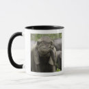 Search for elephant trunk mugs Nature