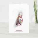 Search for adoption christmas cards Dog