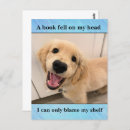 Search for dog meme postcards Golden retriever