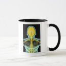 Search for human spine mugs People