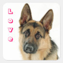 Search for german shepherd stickers Hound