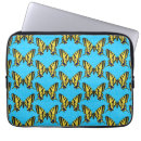 Search for tiger butterfly cases Insect
