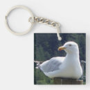 Search for seagull key rings Wildlife