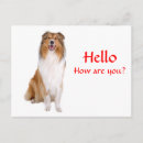 Search for hello greeting postcards Puppies