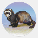 Search for ferret stickers Wild