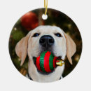 Search for yellow labrador christmas tree decorations Fun