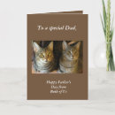 Search for american shorthair cards Animal