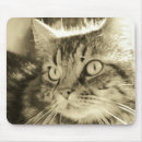 Search for kitty face mousepads Feline