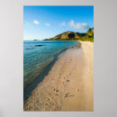 Search for oarsman Fiji