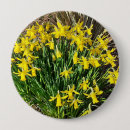 Search for daffodil badges Floral