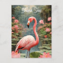Search for vintage flamingo postcards Retro travel