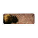 Search for bison return address labels Buffalo