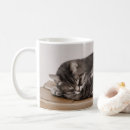 Search for tabby cat mugs Grey