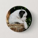 Search for basket badges Flowers