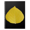 Search for aspen notebooks Autumn