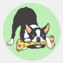 Search for boston stickers Canine
