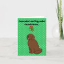 Search for newfoundland dog cards Funny