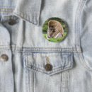Search for macaques Animals in the wild