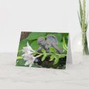 Search for baby loss cards Flowers