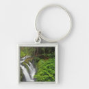 Search for environment key rings Usa