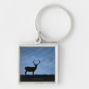Search for night scene key rings Animal